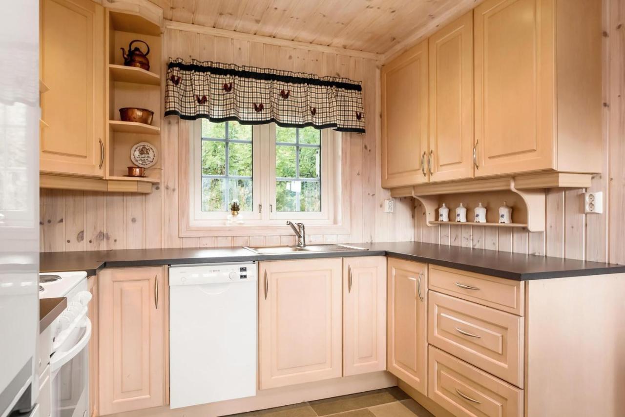 Reveenka - Cabin In Trysil With Jacuzzi For Rent מראה חיצוני תמונה