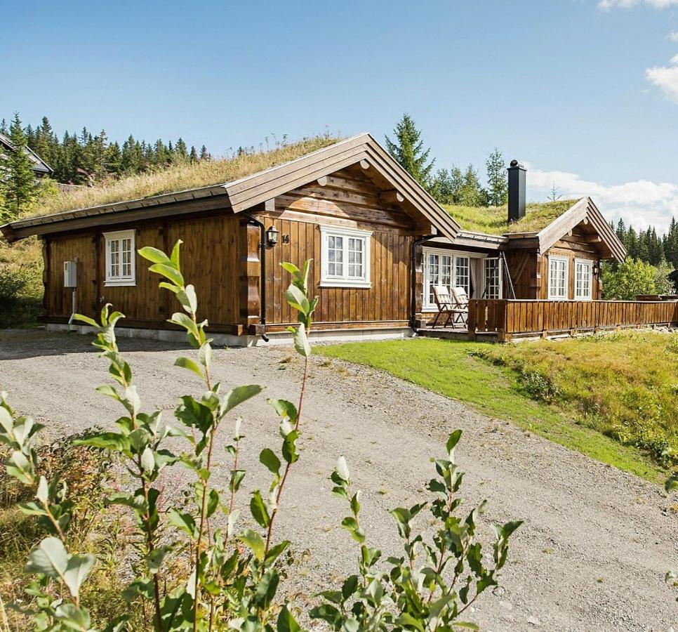 Reveenka - Cabin In Trysil With Jacuzzi For Rent מראה חיצוני תמונה