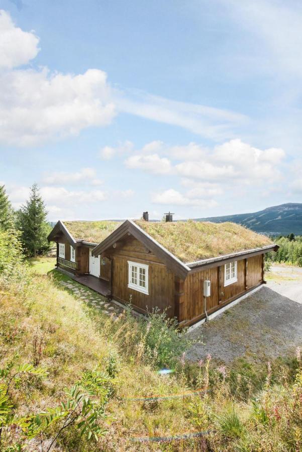 Reveenka - Cabin In Trysil With Jacuzzi For Rent מראה חיצוני תמונה