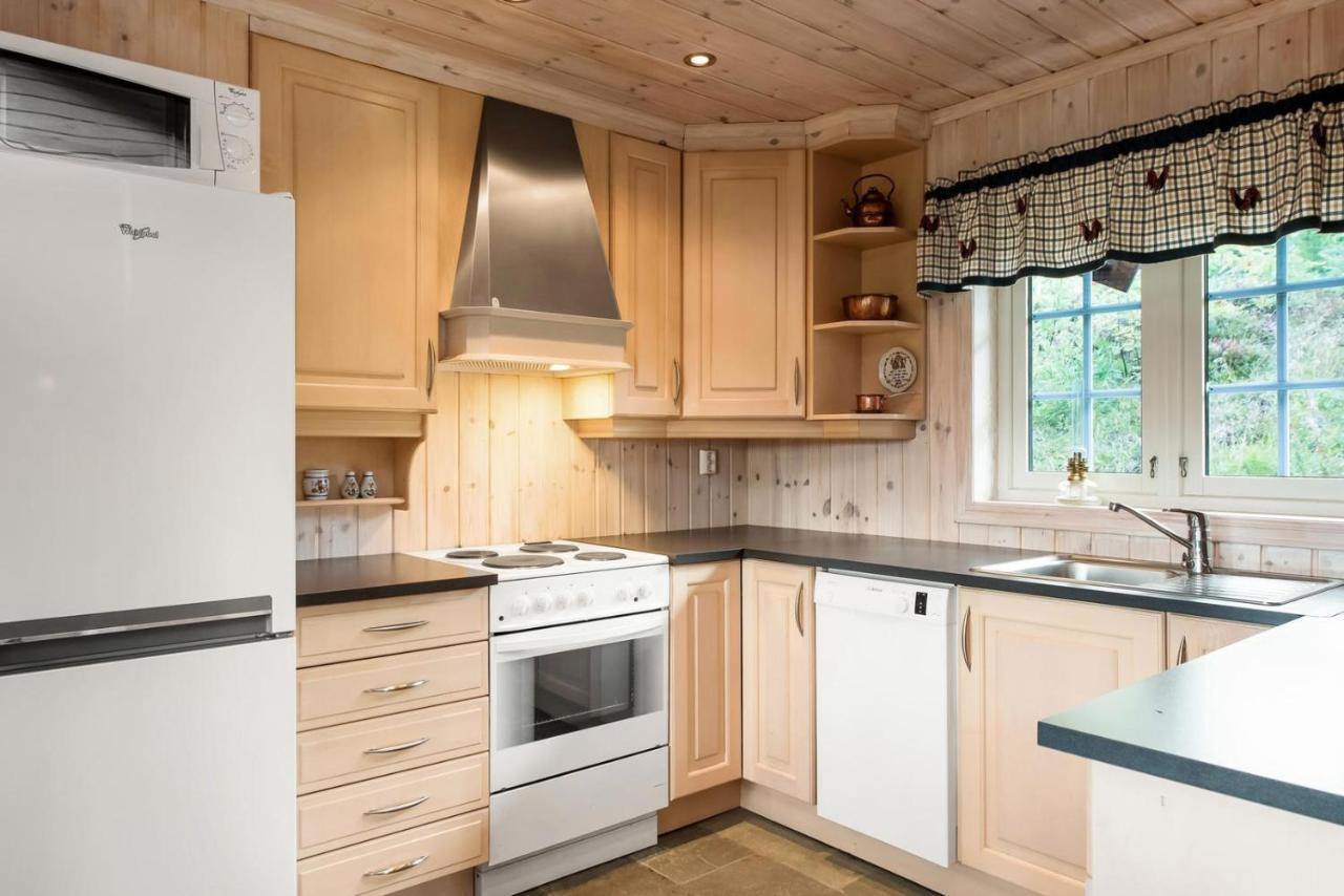 Reveenka - Cabin In Trysil With Jacuzzi For Rent מראה חיצוני תמונה
