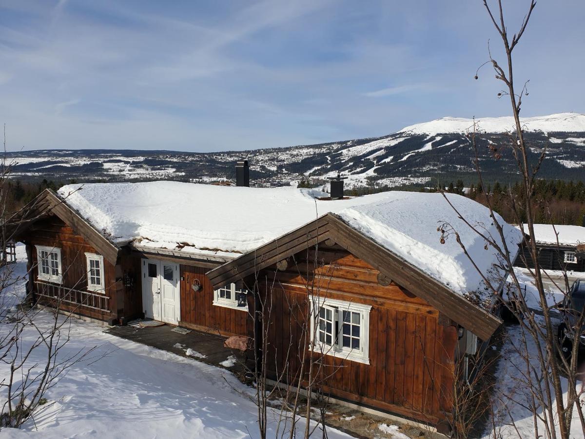 Reveenka - Cabin In Trysil With Jacuzzi For Rent מראה חיצוני תמונה