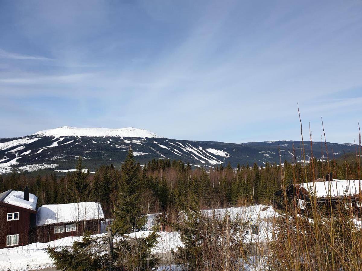 Reveenka - Cabin In Trysil With Jacuzzi For Rent מראה חיצוני תמונה