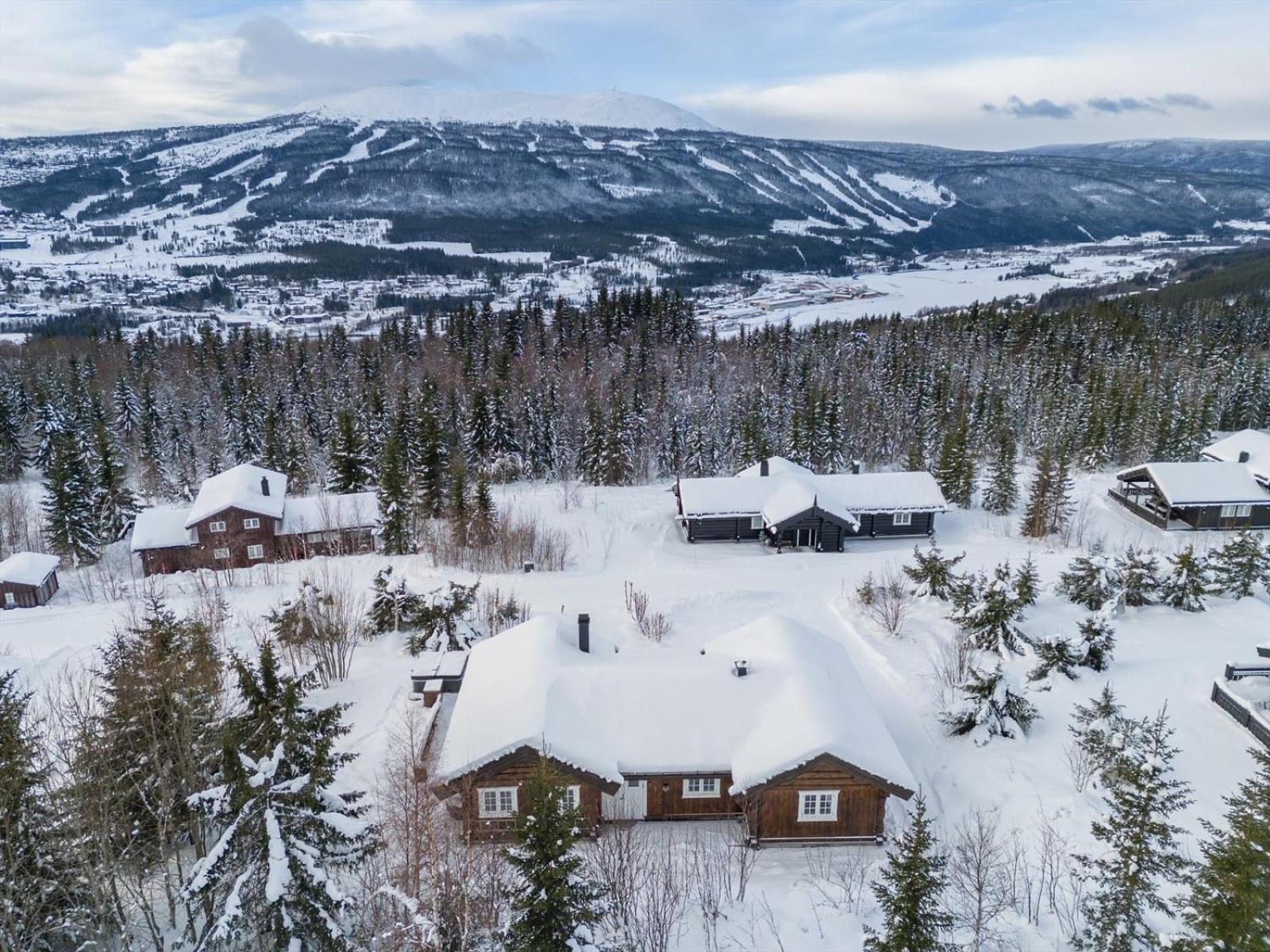 Reveenka - Cabin In Trysil With Jacuzzi For Rent מראה חיצוני תמונה