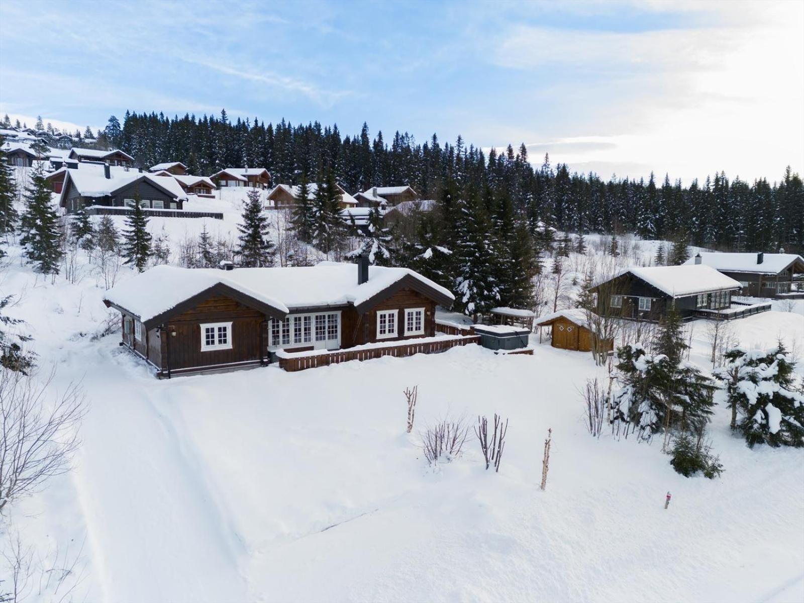 Reveenka - Cabin In Trysil With Jacuzzi For Rent מראה חיצוני תמונה